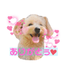 ろみろみろみお（1さい）（個別スタンプ：3）