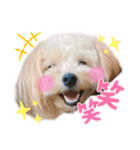 ろみろみろみお（1さい）（個別スタンプ：4）