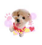 ろみろみろみお（1さい）（個別スタンプ：5）