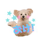 ろみろみろみお（1さい）（個別スタンプ：8）