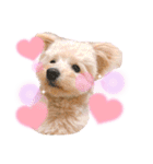 ろみろみろみお（1さい）（個別スタンプ：11）