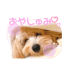 ろみろみろみお（1さい）（個別スタンプ：12）