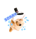 ろみろみろみお（1さい）（個別スタンプ：16）
