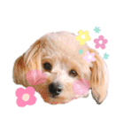 ろみろみろみお（1さい）（個別スタンプ：18）