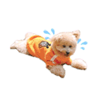 ろみろみろみお（1さい）（個別スタンプ：20）