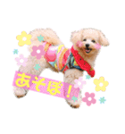 ろみろみろみお（1さい）（個別スタンプ：21）