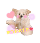 ろみろみろみお（1さい）（個別スタンプ：22）