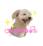 ろみろみろみお（1さい）（個別スタンプ：23）