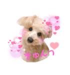 ろみろみろみお（1さい）（個別スタンプ：24）