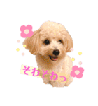 ろみろみろみお（1さい）（個別スタンプ：25）