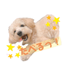 ろみろみろみお（1さい）（個別スタンプ：28）