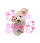 ろみろみろみお（1さい）（個別スタンプ：30）
