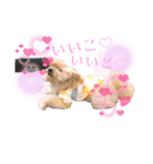 ろみろみろみお（1さい）（個別スタンプ：31）