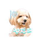ろみろみろみお（1さい）（個別スタンプ：32）
