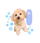 ろみろみろみお（1さい）（個別スタンプ：33）