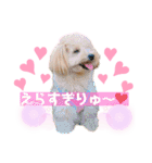 ろみろみろみお（1さい）（個別スタンプ：34）