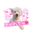 ろみろみろみお（1さい）（個別スタンプ：36）