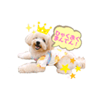 ろみろみろみお（1さい）（個別スタンプ：38）