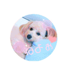 ろみろみろみお（1さい）（個別スタンプ：39）