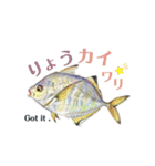 魚ダジャレ日常スタンプ 第二弾（個別スタンプ：3）