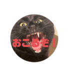 無限に可愛いmutaのすたんぷ！（個別スタンプ：1）
