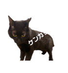 無限に可愛いmutaのすたんぷ！（個別スタンプ：6）
