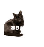 無限に可愛いmutaのすたんぷ！（個別スタンプ：8）
