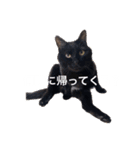 無限に可愛いmutaのすたんぷ！（個別スタンプ：12）