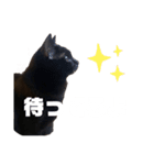 無限に可愛いmutaのすたんぷ！（個別スタンプ：13）