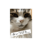 とあるルナ子の生活（個別スタンプ：1）