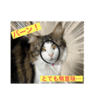 とあるルナ子の生活（個別スタンプ：2）