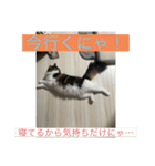 とあるルナ子の生活（個別スタンプ：4）