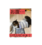 とあるルナ子の生活（個別スタンプ：5）