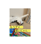 とあるルナ子の生活（個別スタンプ：12）