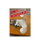 とあるルナ子の生活（個別スタンプ：15）