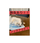 とあるルナ子の生活（個別スタンプ：16）