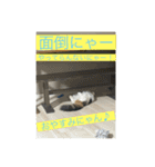 とあるルナ子の生活（個別スタンプ：19）