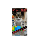 とあるルナ子の生活（個別スタンプ：22）