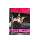 とあるルナ子の生活（個別スタンプ：23）