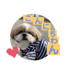 こてつ君の挨拶文（個別スタンプ：2）