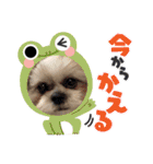 こてつ君の挨拶文（個別スタンプ：8）