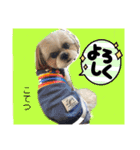 こてつ君の挨拶文（個別スタンプ：16）