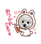 白ポメ3匹の日常（個別スタンプ：2）
