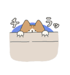 【ねこ】いとしのふとし ver.1(修正版)（個別スタンプ：8）