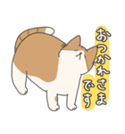 【ねこ】いとしのふとし ver.1(修正版)（個別スタンプ：10）