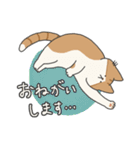 【ねこ】いとしのふとし ver.1(修正版)（個別スタンプ：11）