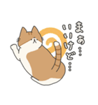 【ねこ】いとしのふとし ver.1(修正版)（個別スタンプ：12）