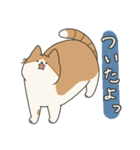 【ねこ】いとしのふとし ver.1(修正版)（個別スタンプ：14）