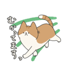 【ねこ】いとしのふとし ver.1(修正版)（個別スタンプ：20）