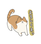 【ねこ】いとしのふとし ver.1(修正版)（個別スタンプ：27）